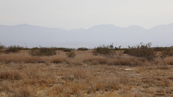 Enlarge photo 78