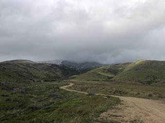 Enlarge photo 7