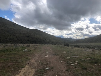Enlarge photo 10