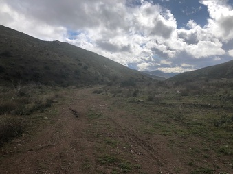 Enlarge photo 14