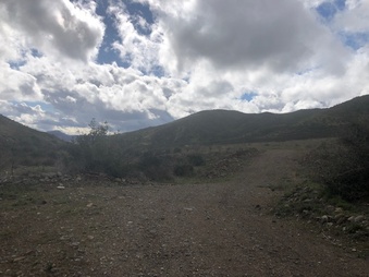Enlarge photo 18