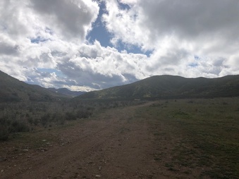 Enlarge photo 19