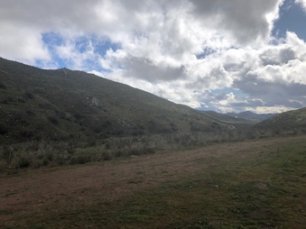 Enlarge photo 20