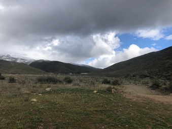 Enlarge photo 21