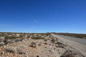 Enlarge photo 53