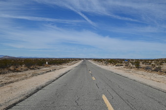 Enlarge photo 62