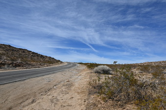 Enlarge photo 78