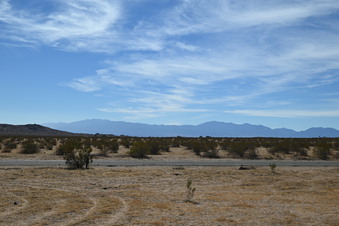 Enlarge photo 83