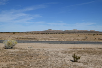 Enlarge photo 88