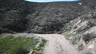 Enlarge photo 13