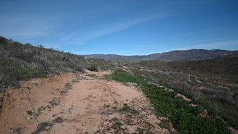 Enlarge photo 20