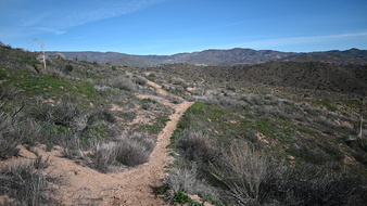Enlarge photo 21