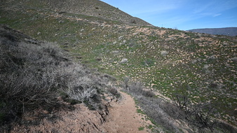 Enlarge photo 23