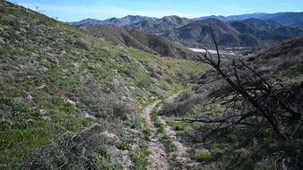 Enlarge photo 26