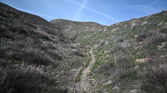 Enlarge photo 27