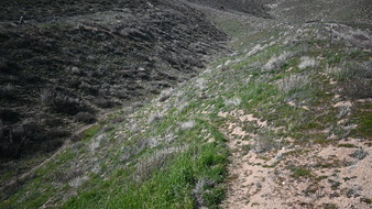 Enlarge photo 28