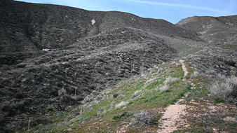 Enlarge photo 31
