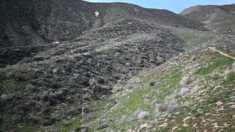 Enlarge photo 32