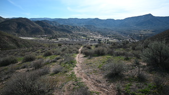 Enlarge photo 33