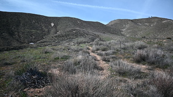 Enlarge photo 34