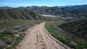Enlarge photo 35