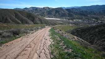 Enlarge photo 36