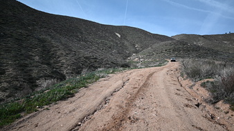Enlarge photo 40