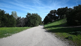 Enlarge photo 36