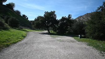 Enlarge photo 35