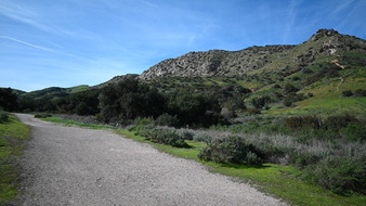 Enlarge photo 37