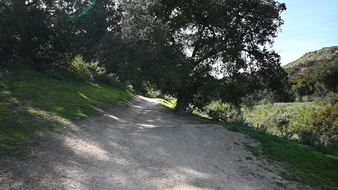 Enlarge photo 38