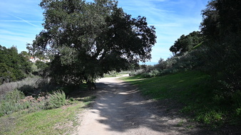 Enlarge photo 39