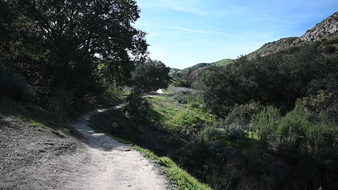 Enlarge photo 40