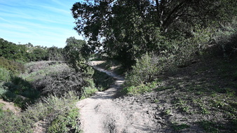 Enlarge photo 41