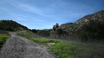 Enlarge photo 44