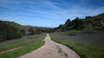 Enlarge photo 45