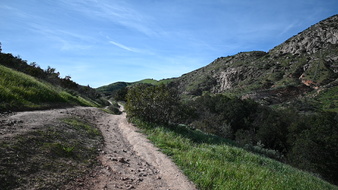 Enlarge photo 47