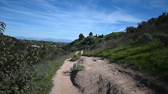 Enlarge photo 48