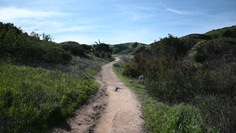 Enlarge photo 49