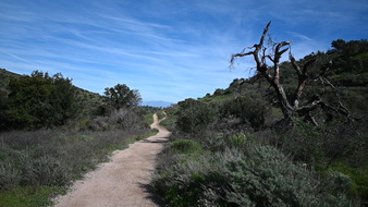 Enlarge photo 50
