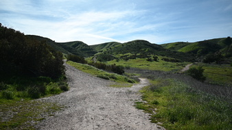 Enlarge photo 51