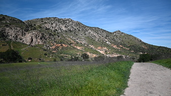 Enlarge photo 52