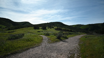 Enlarge photo 53