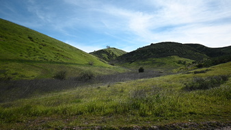 Enlarge photo 54