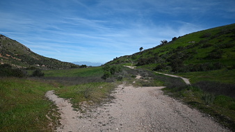 Enlarge photo 55