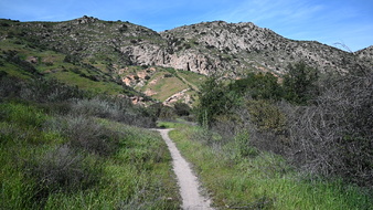 Enlarge photo 2