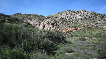 Enlarge photo 3