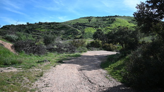 Enlarge photo 4