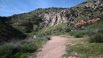 Enlarge photo 6