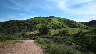 Enlarge photo 7